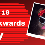 Badckwards-Day_950x475_acf_cropped