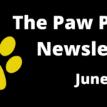 Newsletter Spotlight