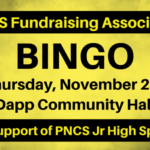 Bingo-Spotlight_950x475_acf_cropped