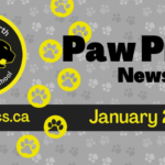 Copy of Newsletter Spotlight