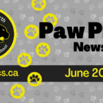February Newsletter Spotlight (1)