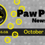 Oct-2023-Newsletter-Spotlight_950x475_acf_cropped