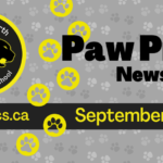 Sept-2023-Newsletter-Spotlight_950x475_acf_cropped