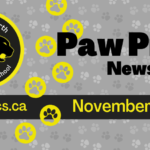 Nov 2023 Newsletter Spotlight