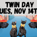 Twin-Day-Spotlight-2_950x475_acf_cropped