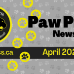April 2024 Newsletter Spotlight