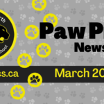 March-2024-Newsletter-Spotlight_950x475_acf_cropped
