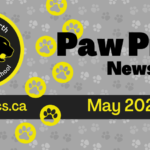 May-2024-Newsletter-Spotlight_950x475_acf_cropped_950x475_acf_cropped