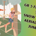 Aerial Park Spotlight