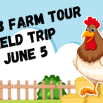 Gr 1 & 3 Farm Trip Spotlight