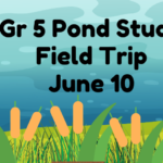 Pond-Study-Spotlight_950x475_acf_cropped