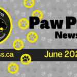 June-2024-Newsletter-Spotlight_950x475_acf_cropped