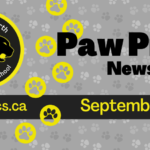 Copy-of-June-2024-Newsletter-Spotlight_950x475_acf_cropped