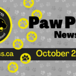 October-2024-Newsletter-Spotlight_950x475_acf_cropped