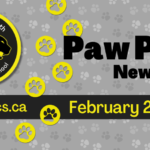 November-2024-Newsletter-Spotlight-1-1_950x475_acf_cropped