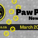 November 2024 Newsletter Spotlight (2)