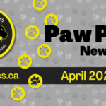 November-2024-Newsletter-Spotlight-3_950x475_acf_cropped