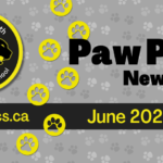 June-2025-Newsletter-Spotlight_950x475_acf_cropped