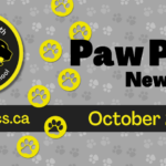 June-2025-Newsletter-Spotlight-1_950x475_acf_cropped