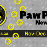 June-2025-Newsletter-Spotlight_950x475_acf_cropped
