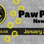 Copy of June 2025 Newsletter Spotlight