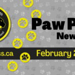 Copy-of-June-2025-Newsletter-Spotlight_950x475_acf_cropped