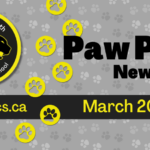Copy of June 2025 Newsletter Spotlight