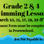 Gr 2&4 Swimming Spotlight