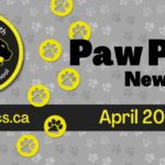 Copy-of-June-2025-Newsletter-Spotlight_950x475_acf_cropped