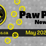 Copy of June 2025 Newsletter Spotlight
