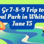 Festival Park Spotlight (2)