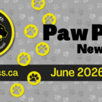 June 2026 Newsletter Spotlight