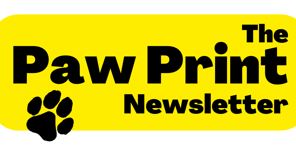 Paw Print Newsletter Spotlight
